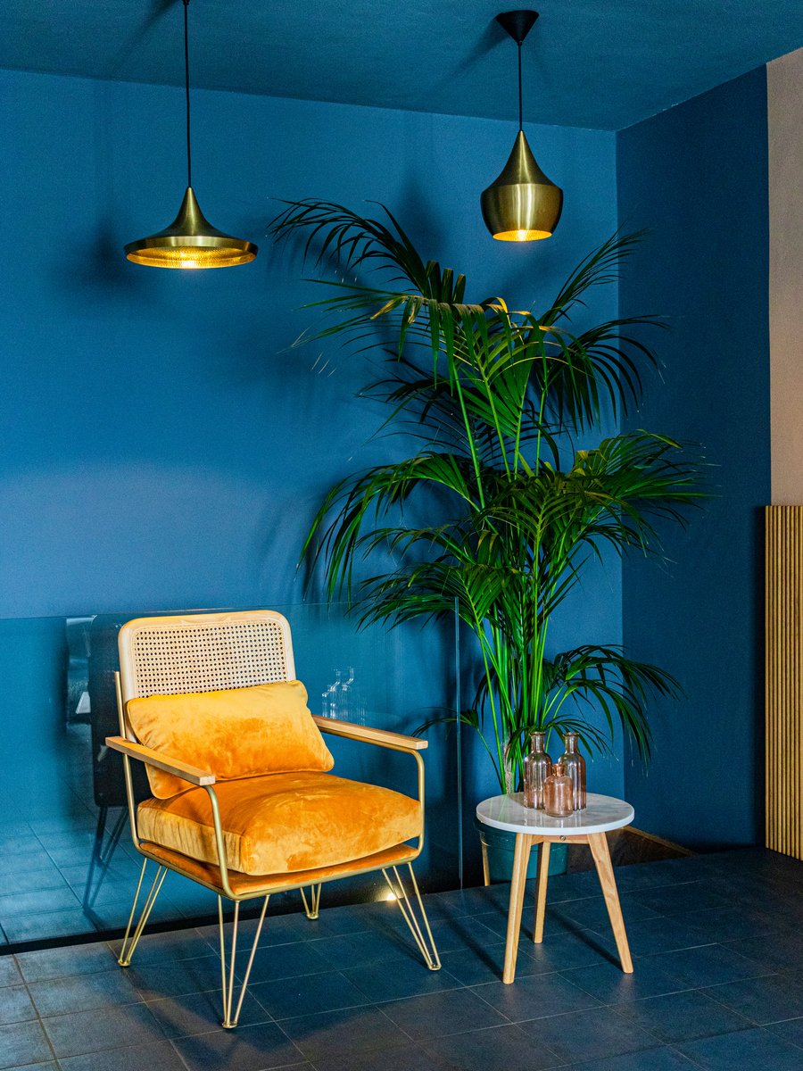Area lounge