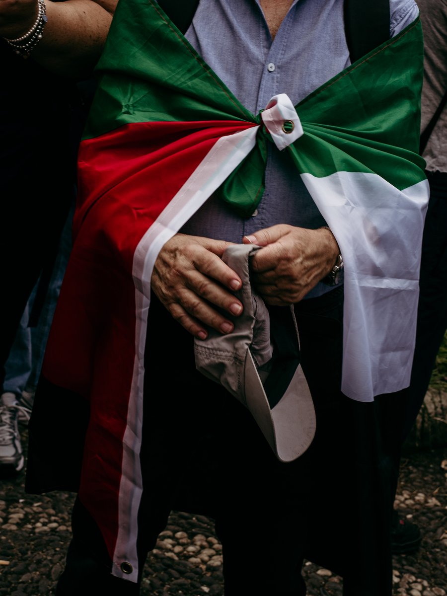 Manifestazioni per Gaza