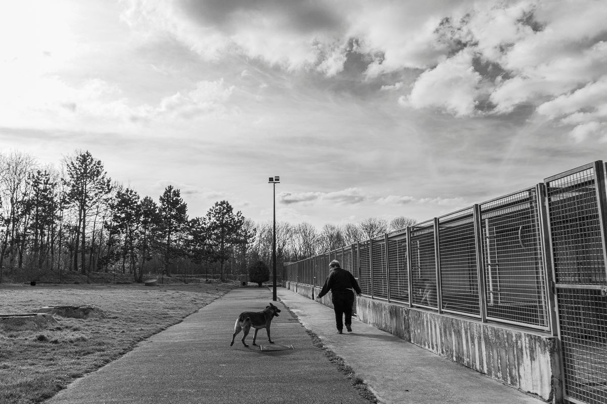 SPPA Refuge d'Amiens