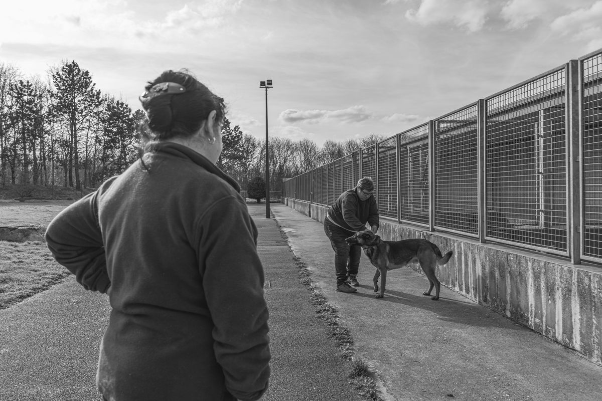 SPPA Refuge d'Amiens